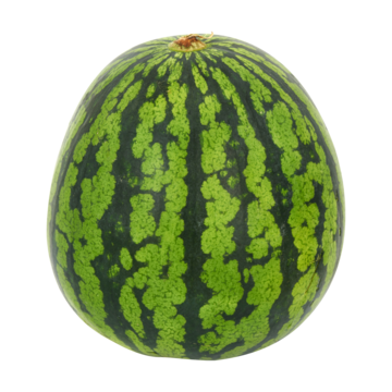 Jumbo Watermeloen ca. 2, 5kg