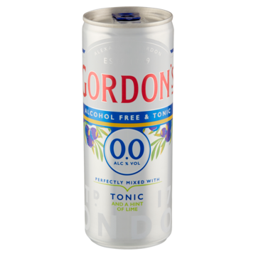 Gordon's Alcohol Free & Tonic 250ml