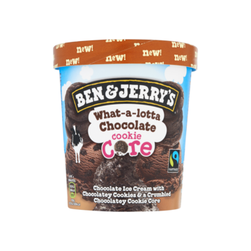 Ben & Jerry's IJs What a Lotta Chocolate 500ml