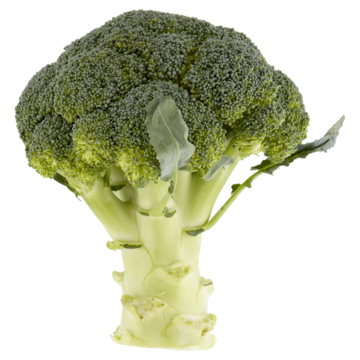 Jumbo Broccoli 500g