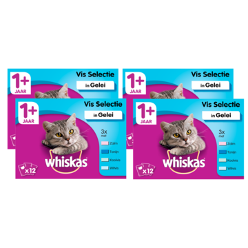 Whiskas 1+ Maaltijdzakjes - Vis in Gelei - Kattenvoer - Grootverpakking 48 x 100g