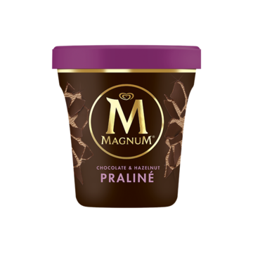 Magnum Pint IJs Hazelnut Praliné 440ml