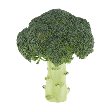 Jumbo Broccoli (1 à 2 Stronken)