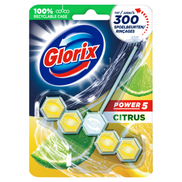 Glorix Power 5 Wc Blok Citrus 1 stuk