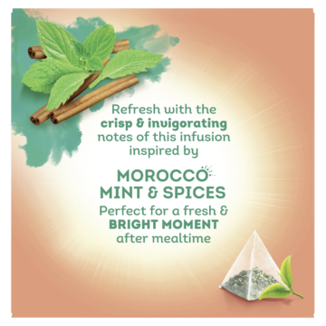 Lipton Kruidenthee Morocco Mint & Spices 20 Stuks