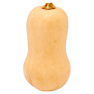 Jumbo Pompoen Fles