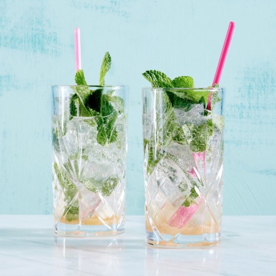Virgin Mojito